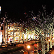 原宿・表参道エリア